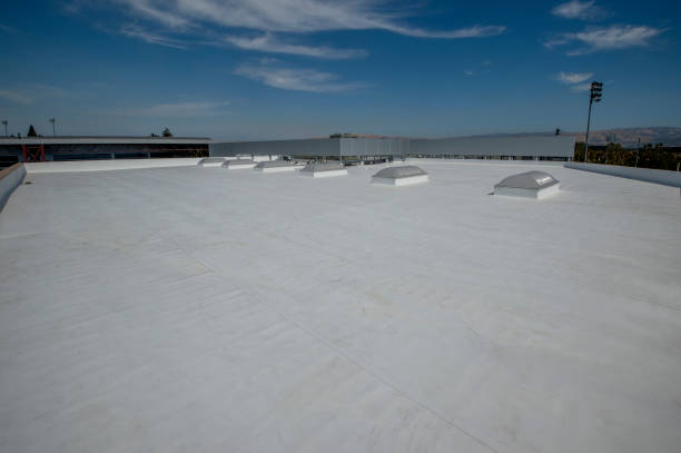 Best Sheet Metal Roofing  in Brunswick, NC